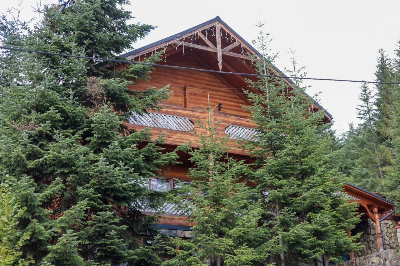 Forest House Migowo Zewnętrze zdjęcie