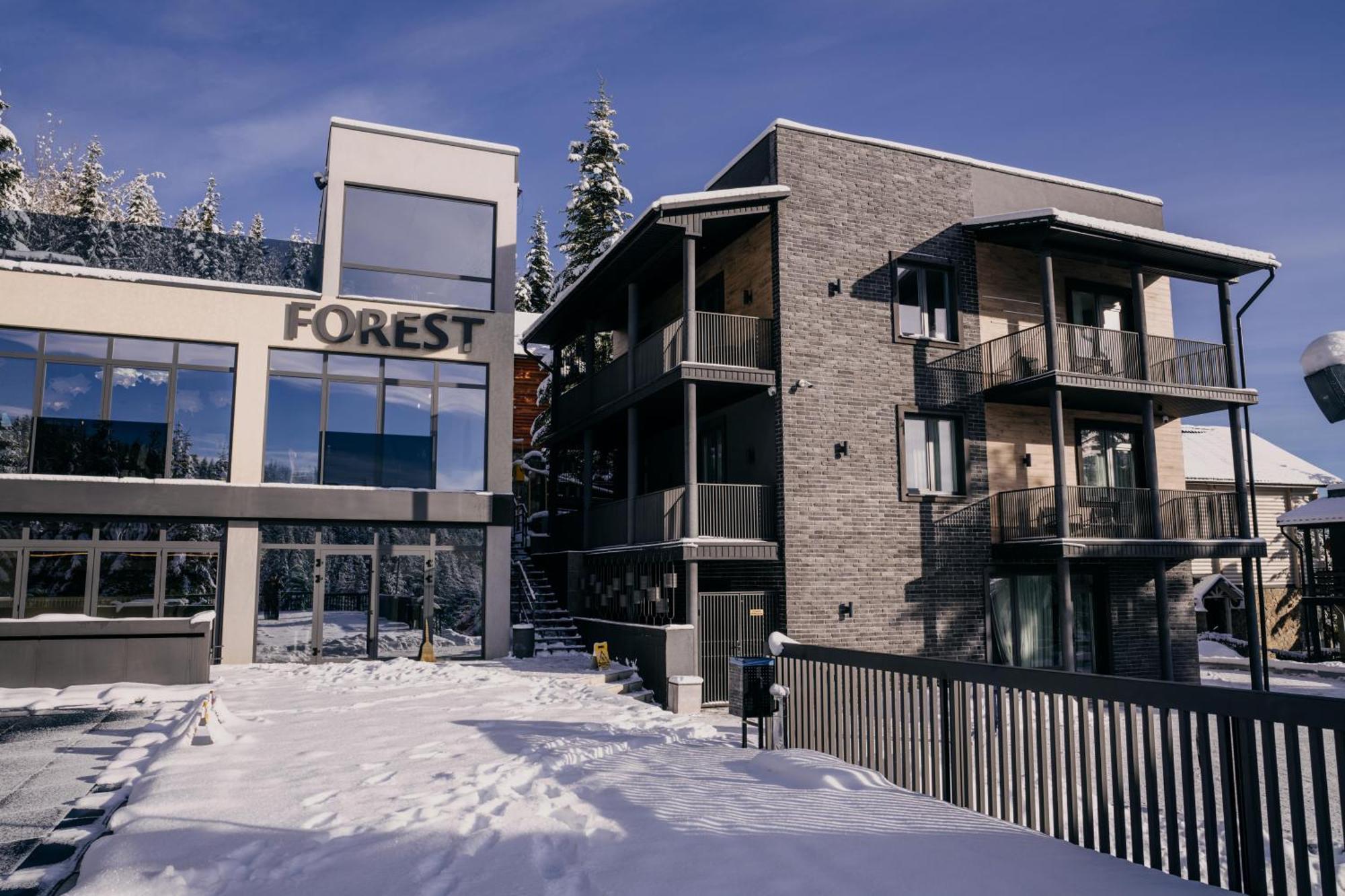 Forest House Migowo Zewnętrze zdjęcie