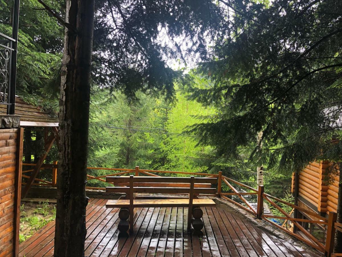 Forest House Migowo Zewnętrze zdjęcie